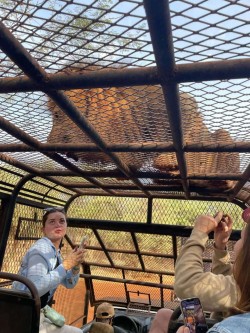 Happy Excursions - Image 25